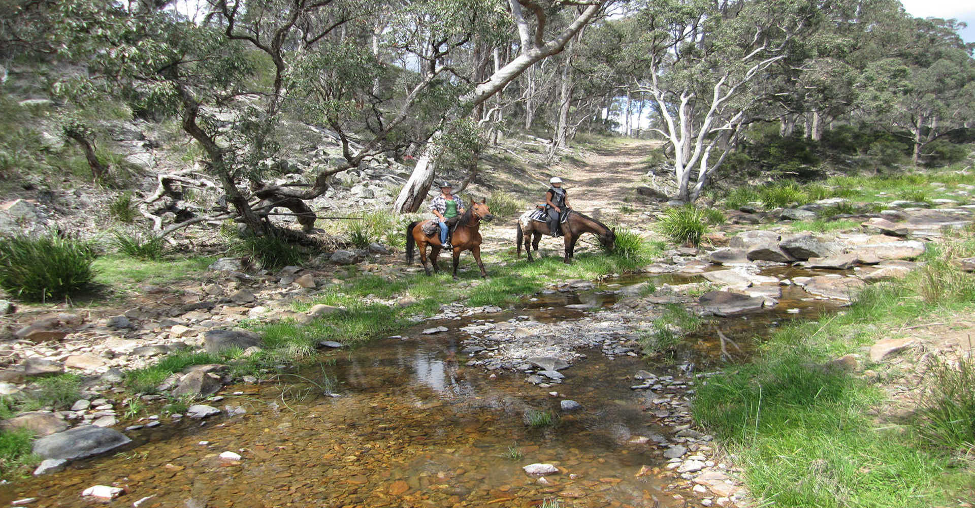 Horse Riding at Three Waters High Country Holidays